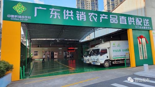 奮戰(zhàn)百千萬工程 廣東供銷農產品直供配送臺山服務中心揭牌成立